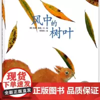 风中的树叶(精)/海豚绘本花园