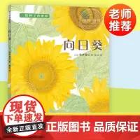 向日葵绘本一粒种子的旅程行精硬壳故事书幼儿园3-6-8岁儿童图画书籍科普百科大自然植物学启蒙认知宝宝亲子阅读物早教童书爱
