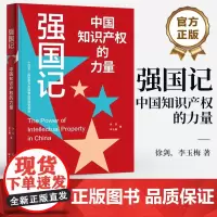 店 2024年主题出版物 强国记 中国知识产权的力量 长篇报告文学 徐剑 李玉梅