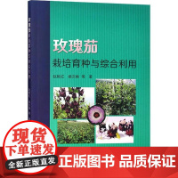 玫瑰茄栽培育种与综合利用 赵艳红,侯文焕 等 著 中国农业出版社9787109312869