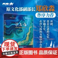 沙与海:丝路古道的千年与新生 黄元琪 历史与现实 商贸与旅行 美景与民俗 海上丝绸之路 古代中西方文明交汇 北京大学店正