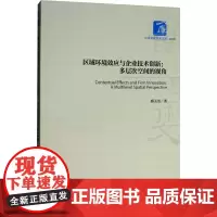 区域环境效应与企业技术创新:多层次空间的视角 盛玉雪 著 社会科学其它经管、励志 正版图书籍 经济管理出版社