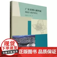 广东深圳大鹏所城规划与保护研究