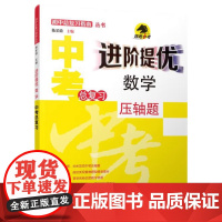 进阶提优.数学中考总复习