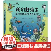 我们赶海去 海边生物的