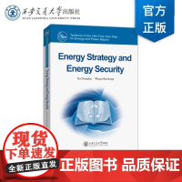 正版 能源战略与能源安全 Energy Strategy and Energy security 徐东海 等