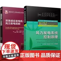 套装 风力发电控制原理经典著作 全2册 风力发电系统控制原理+双馈感应发电机 风力发电控制