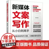 新媒体文案写作从小白到高手 盈利思维、AI应用与自我增值的96个技巧 王京 著 图形图像/多媒体(新)经管、励志