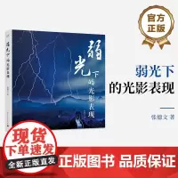 正版 弱光下的光影表现 精装版 专为夜间和弱光条件下摄影创作的指南 探索夜色的魔法 解锁弱光摄影的无尽魅力 张德文 著