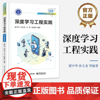 正版 深度学习工程实践 中文车牌识别检测讲解书籍 采用三元组的FaceNet人脸识别理论与实践介绍书 翟中华 等 电子工