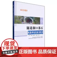 隧道洞口落石风险评估及处治技术