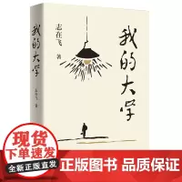 我的大学 志在飞校园青春题材的长篇小说南方山区的文道政在八十年代初的大学里的学习生活故事青年男女在大学时光里的点点滴滴