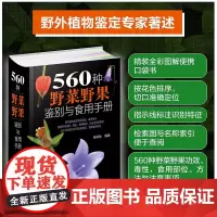 彩图新版 560种野菜野果鉴别与食用手册 野菜植物别名学名科属识别特征分布营养药用功效食用部位方法毒性 植物爱好者参考大