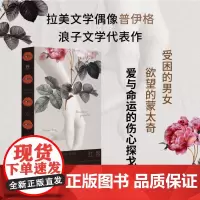 正版 红唇 9787559859754 北贝 广西师范大学出版社 曼努埃尔·普伊格 著,李毓琦 译,野 出品 20