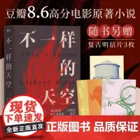不一样的天空 彼得赫奇斯 书写年轻人的困境挣扎对抗与救赎 现代版 麦田里的守望者 外国文学经典小说 磨铁图书 正版书籍