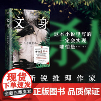 文身 小说 岩井圭也 高能烧脑三层嵌套故事 多重反转真相 越来越暗 越陷越深的阅读体验 日本悬疑推理小说文学磨铁图书 正