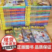 新版课外侦探组1-40 (套装40册)
