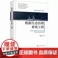 数据生态治理系统工程 数据生态治理基本原则 数据生态治理系统工程方法论体系 数据相关专业参考书 数据治理领域决策人员参考