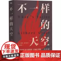 不一样的天空 (美)彼得·赫奇斯 著 何雨珈 译 外国小说文学 正版图书籍 浙江人民出版社