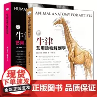 牛津艺用人体解剖学+牛津艺用动物解剖学2册 人体动物结构骨骼肌肉表面结构躯干绘画教学造型美术艺考教程人体动物解剖学技法教
