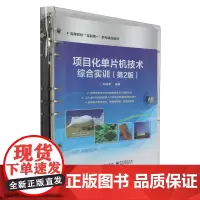 项目化单片机技术综合实训