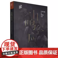 山鸣谷应:中国山水画和观众的历史