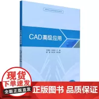 CAD高级应用