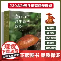 正版 太行山区野生蘑菇图鉴 第一卷 伞菌纲银耳纲锤舌菌纲盘菌纲粪壳菌纲 宏观特征微观特征生境分布食药用价值 科普读物图