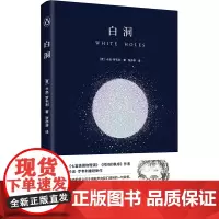 白洞 (意)卡洛·罗韦利 著 张亦非 译 社会科学其它专业科技 正版图书籍 湖南科学技术出版社