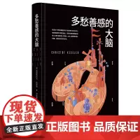 多愁善感的大脑