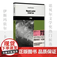梦宫 (阿尔巴)伊斯玛依尔·卡达莱 著 高兴 译 外国小说文学 正版图书籍 上海译文出版社