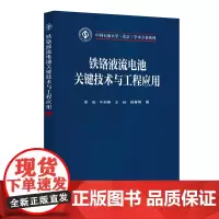 铁铬液流电池关键技术与工程应用 长时储能:碳中和的一种未来发展方向9787511474391