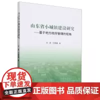 山东省小城镇建设研究:基于地方政府管理的视角