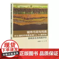 城市污泥与鸡粪对土壤和作物重金属Cu、Zn累积的影响及生态风险评价