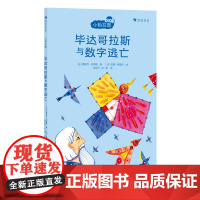 浪花朵朵 小柏拉图 毕达哥拉斯与数字逃亡 法国当代哲学家团队倾力打造的趣味哲学书 儿童哲学启蒙故事书