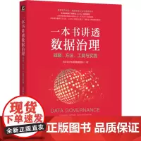 一本书讲透数据治理:战略、方法、工具与实践