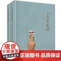 宁乡罗家冲(全二册)