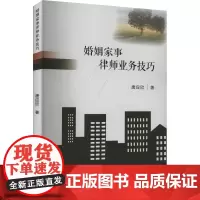 婚姻家事律师业务技巧 唐应欣 著 法律知识读物社科 正版图书籍 西南财经大学出版社
