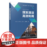 煤炭清洁高效利用 煤炭清洁高效利用技术 SJ 型低温干馏方炉温度与压力场 粉煤成型 从事煤炭清洁能源等相关技术人员参考书