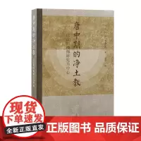 正版 唐中期的净土教:以法照禅师研究为中心 9787573210135 上海古籍出版社 [日]塚本善隆 著 宗柱 译 2