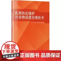 轧钢热处理炉污染物深度治理技术 王凡,田刚,张辰 著 冶金工业专业科技 正版图书籍 哈尔滨工业大学出版社