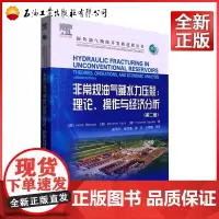 非常规油气藏水力压裂--理论操作与经济分析(第2版)/国外油气勘探开发新进展丛书 [美] 霍斯·贝尔亚迪,易卜拉欣·法蒂