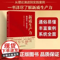新质生产力:如何看?怎么办?蒋永穆 读懂新质生产力 洪银兴书籍 中国经济出版社