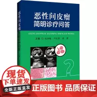 恶性间皮瘤简明诊疗问答 毛伟敏,卢红阳,程蕾 编 临床医学生活 正版图书籍 辽宁科学技术出版社