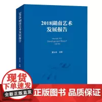 2018湖南艺术发展报告