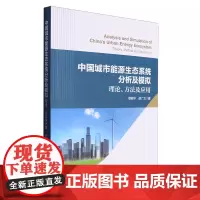 中国城市能源生态系统分析及模拟:理论、方法及应用