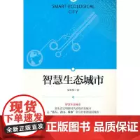 智慧生态城市