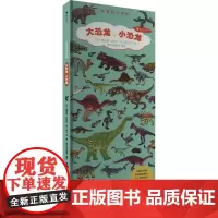 大恐龙,小恐龙 (法)提埃里·拉瓦尔,(法)扬·库文 著 孟蕊 译 启蒙认知书/黑白卡/识字卡少儿 正版图书籍