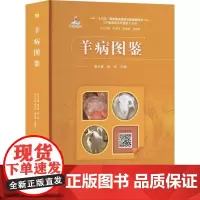 羊病图鉴 窦永喜,殷宏主编 9787511661418