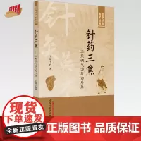 针药三焦 三焦调气治疗内外症 王丽平 著 中国中医药出版社 北京针灸英才丛书